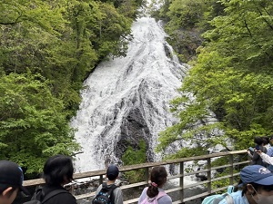 yutaki