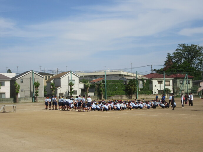 写真