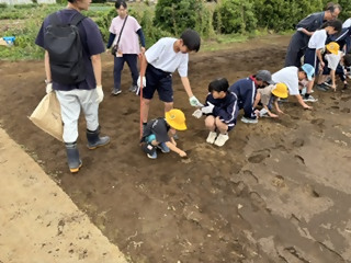 tanemaki4