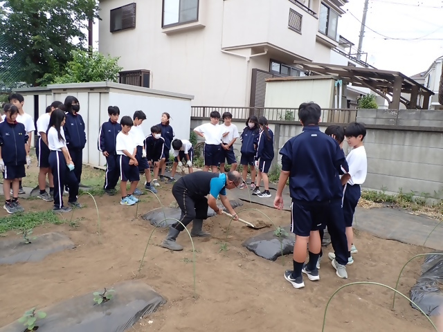 写真