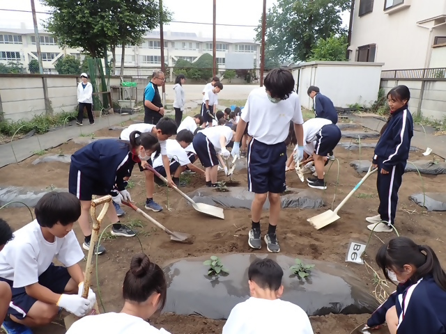 写真