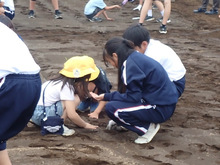 アルバム