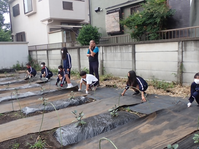 写真