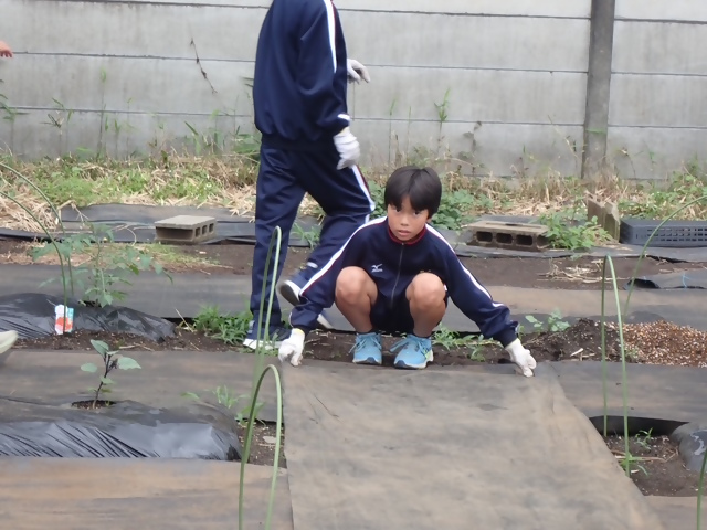 写真