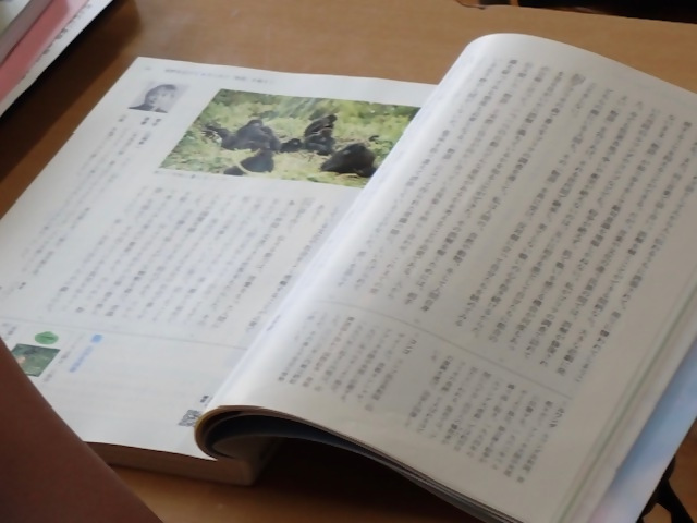 写真