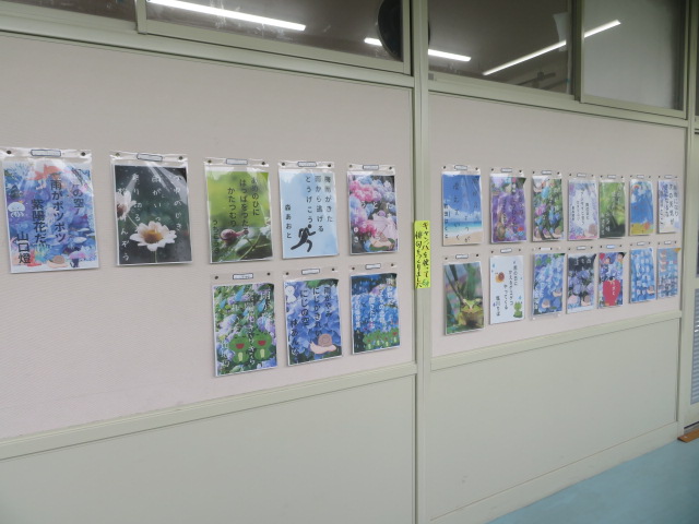 kyanba_4-1